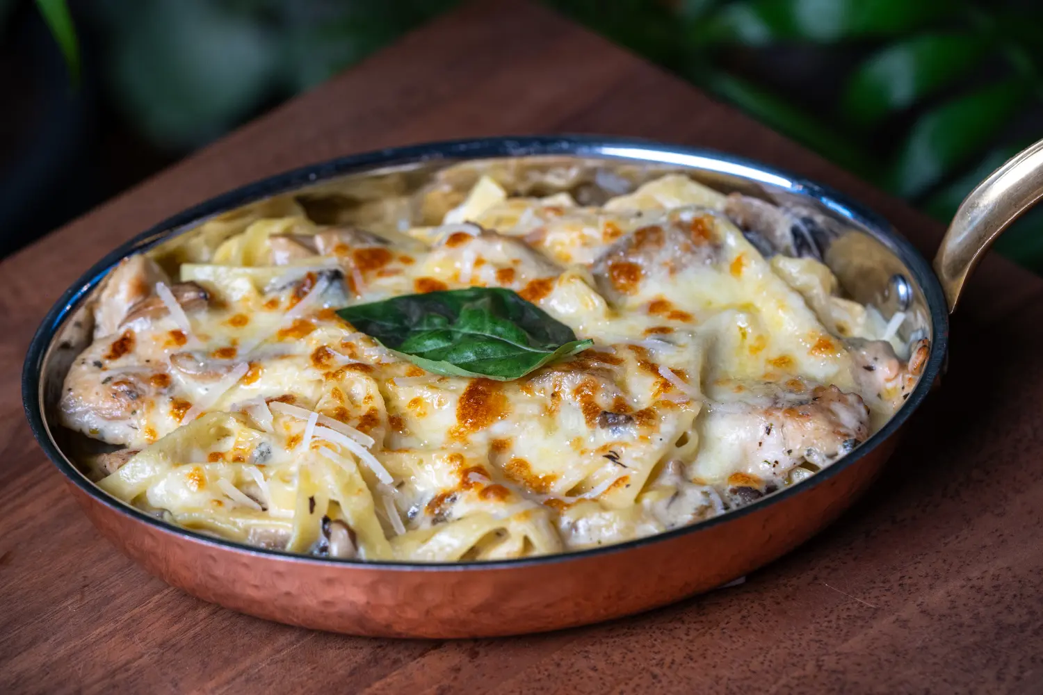 Fettuccine Chicken Alfredo